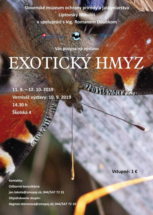 Plagát Exotický hmyz