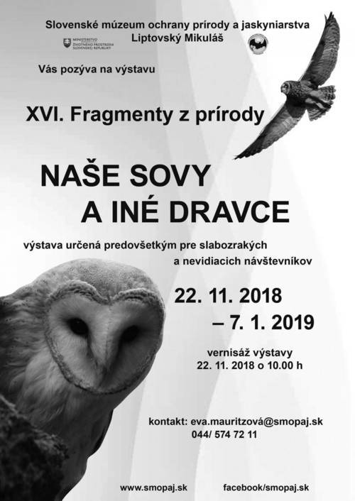 Plagát Fragmenty z prírody - Naše sovy a iné dravce