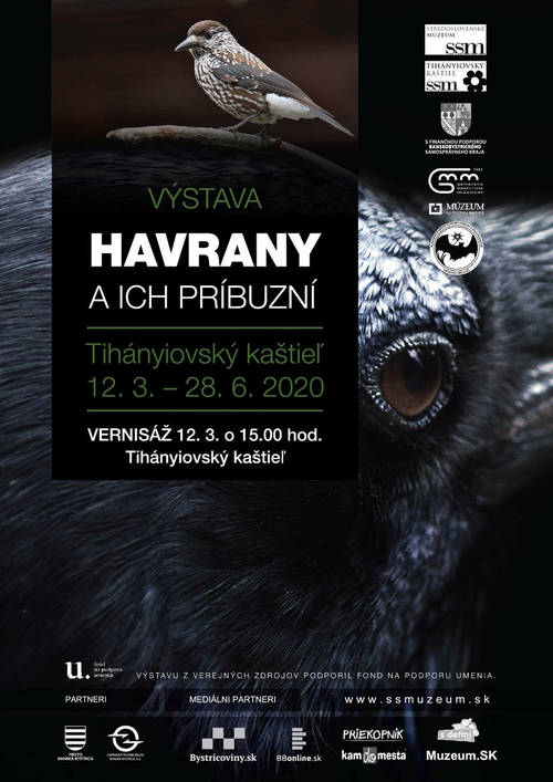 Plagát Havrany a ich príbuzní