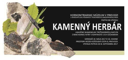 Plagát Kamenný herbár