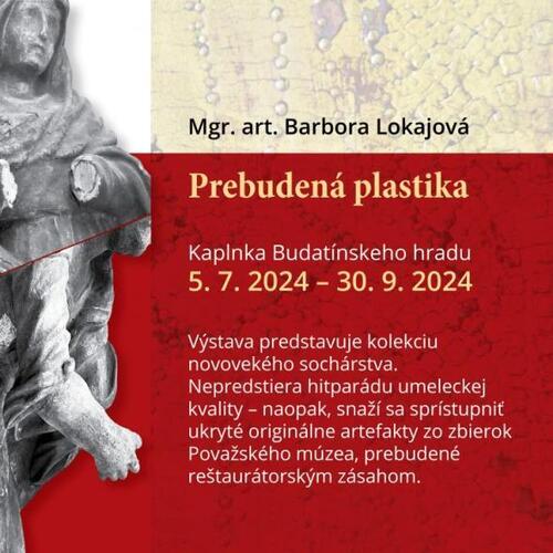 Plagát Prebudená plastika