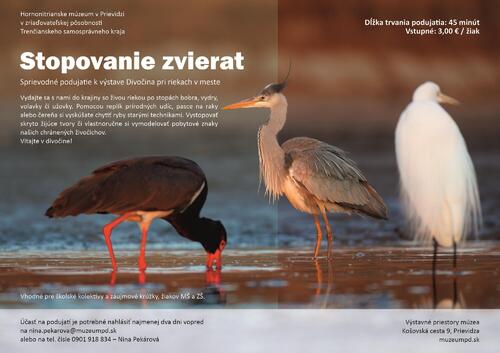 Plagát Stopovanie zvierat
