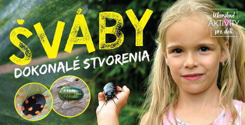 Plagát Šváby - dokonalé stvorenia