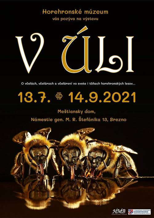 Plagát V úli - o včelách, včelároch a včelárení vo svete i tôňach horehronských lesov