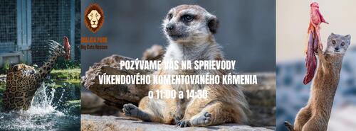 Plagát Víkendové komentované kŕmenie v Malkia Parku
