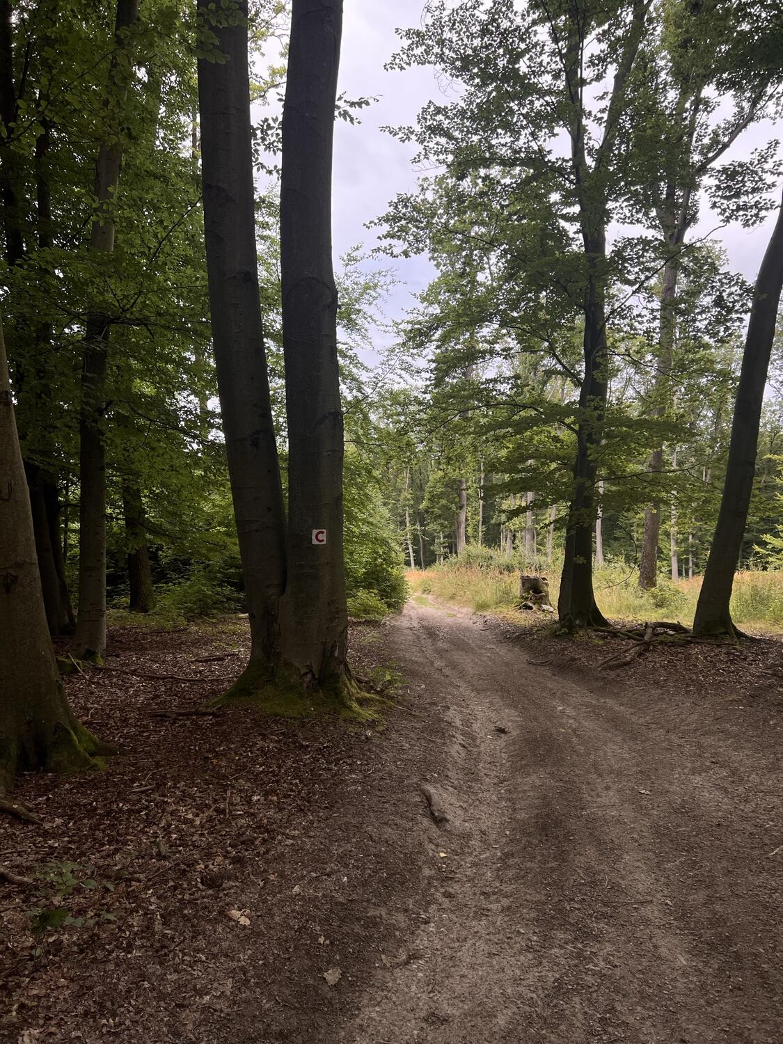 Cyklomagistrála okolo Považského Inovca
