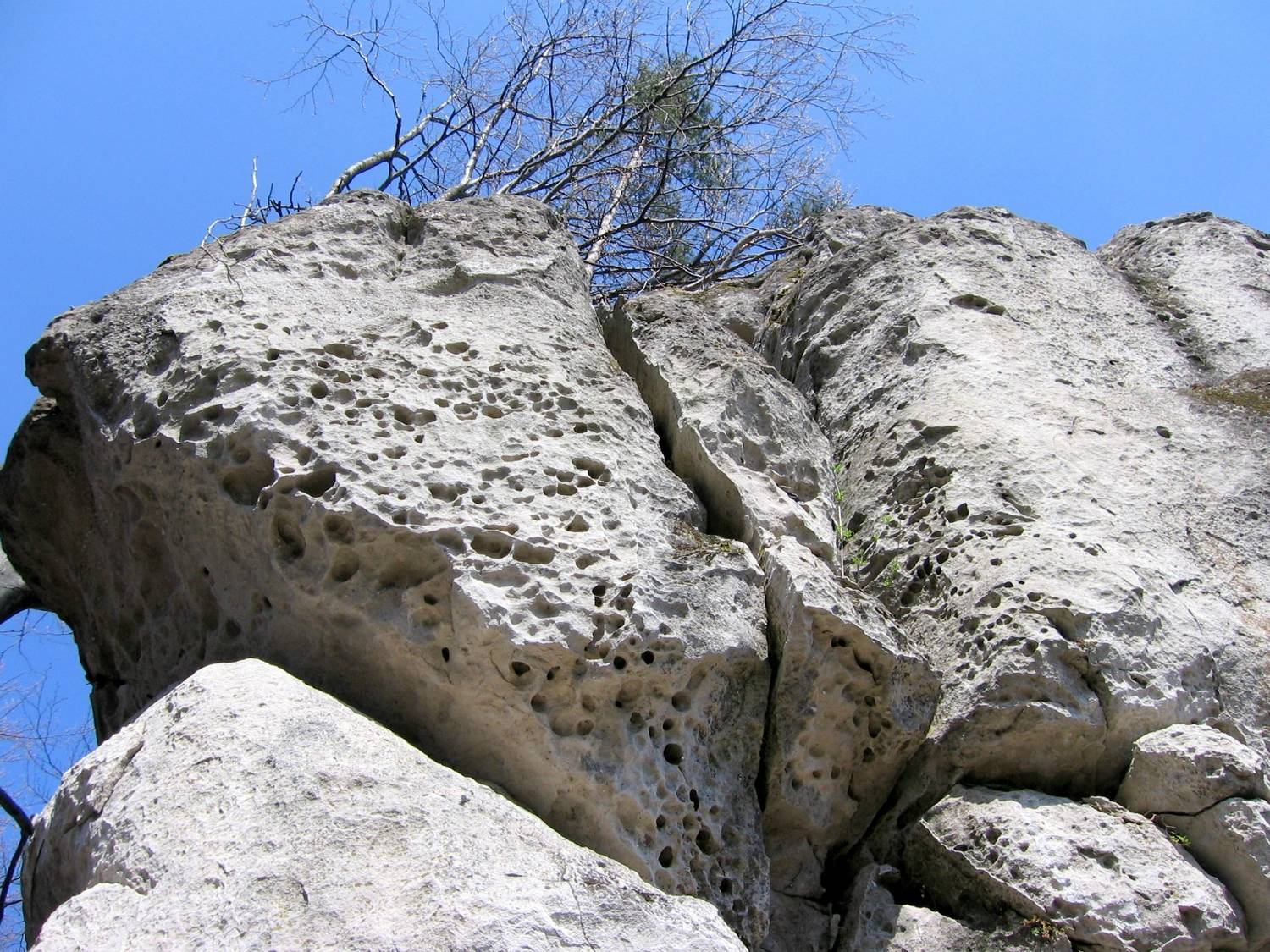 Zbyňovský budzogáň