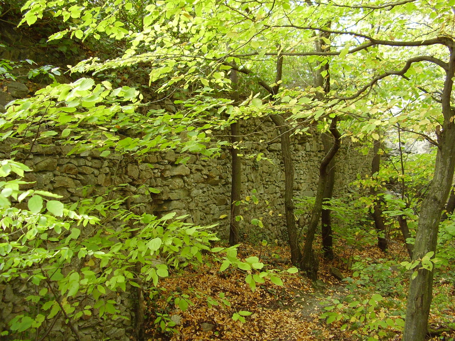 Hrad Biely Kameň