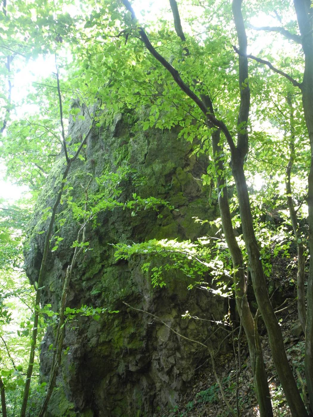 Hrad Breznica