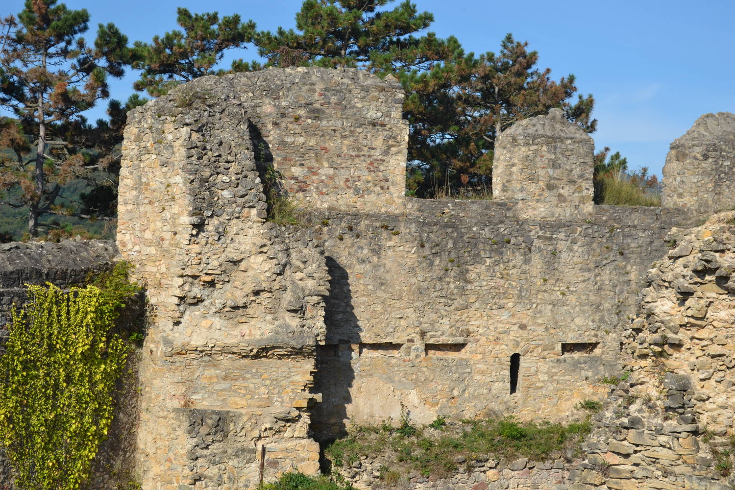 Hrad Divín