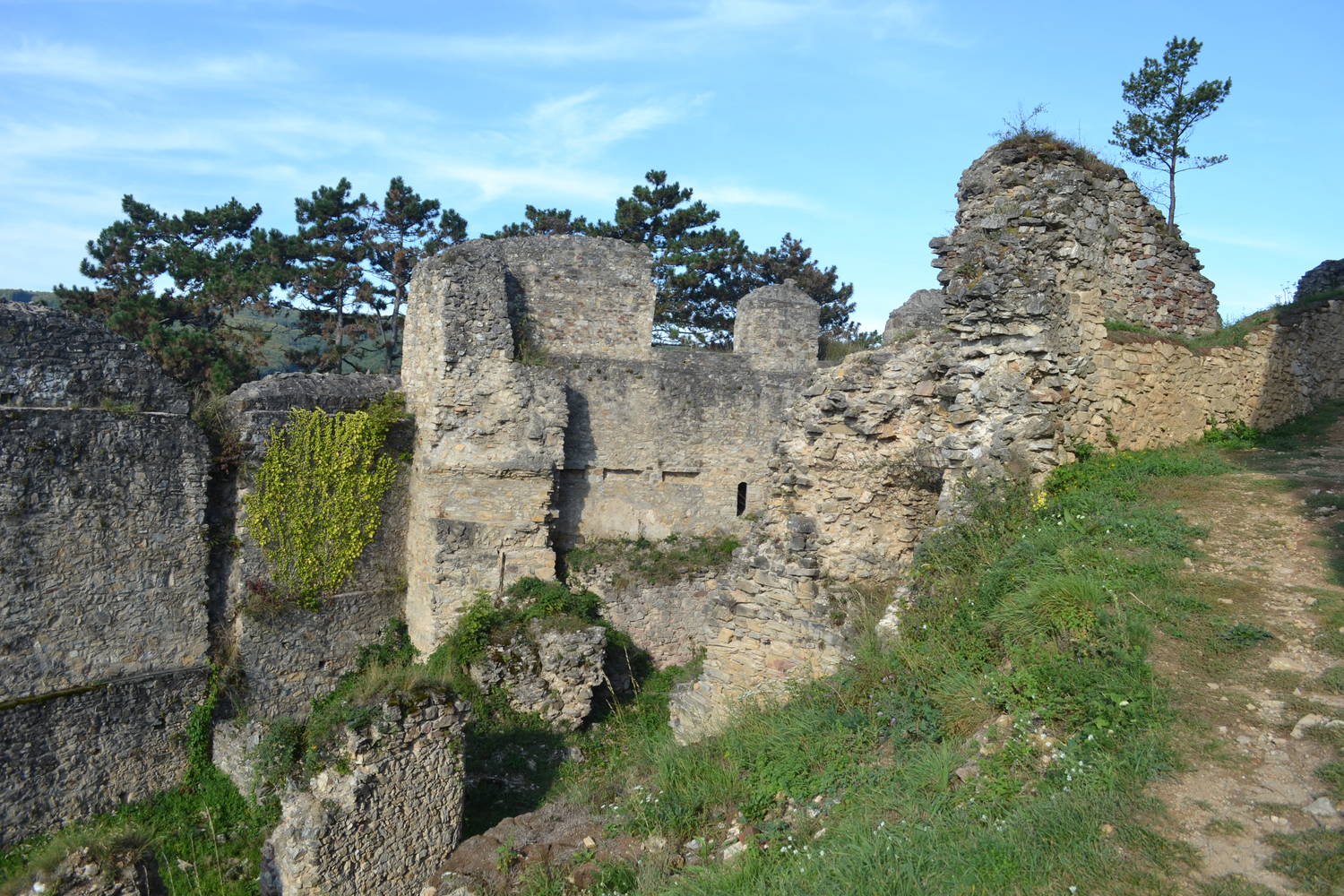 Hrad Divín
