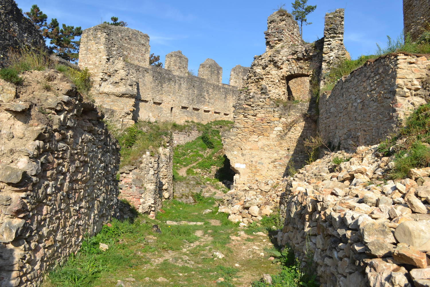 Hrad Divín