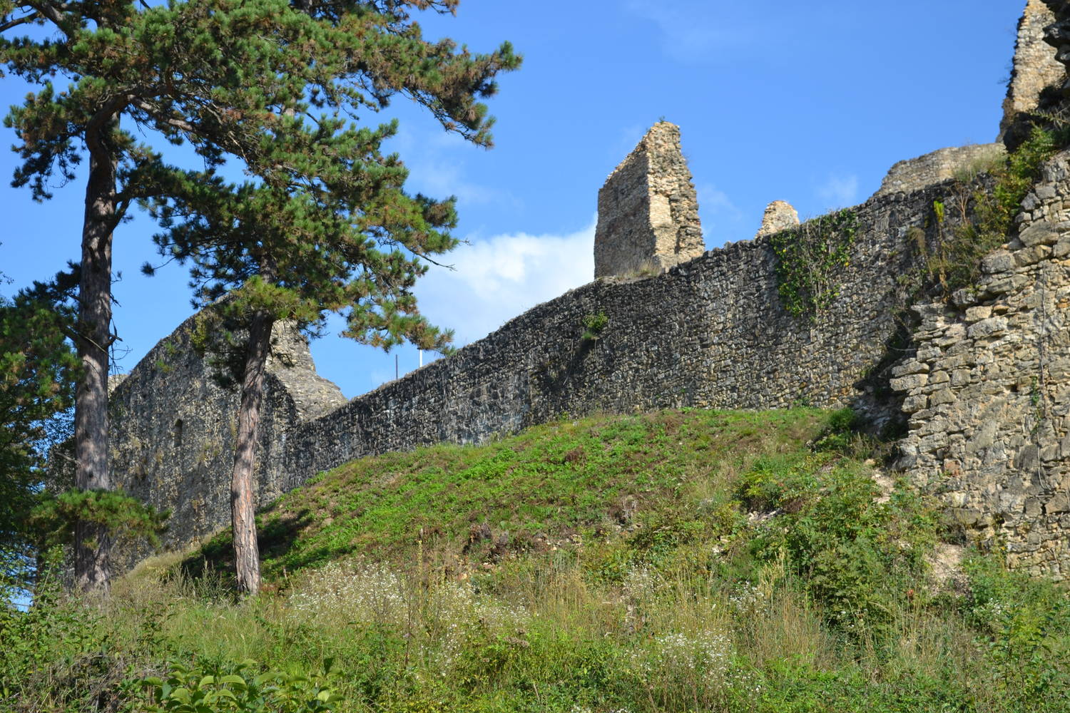Hrad Divín