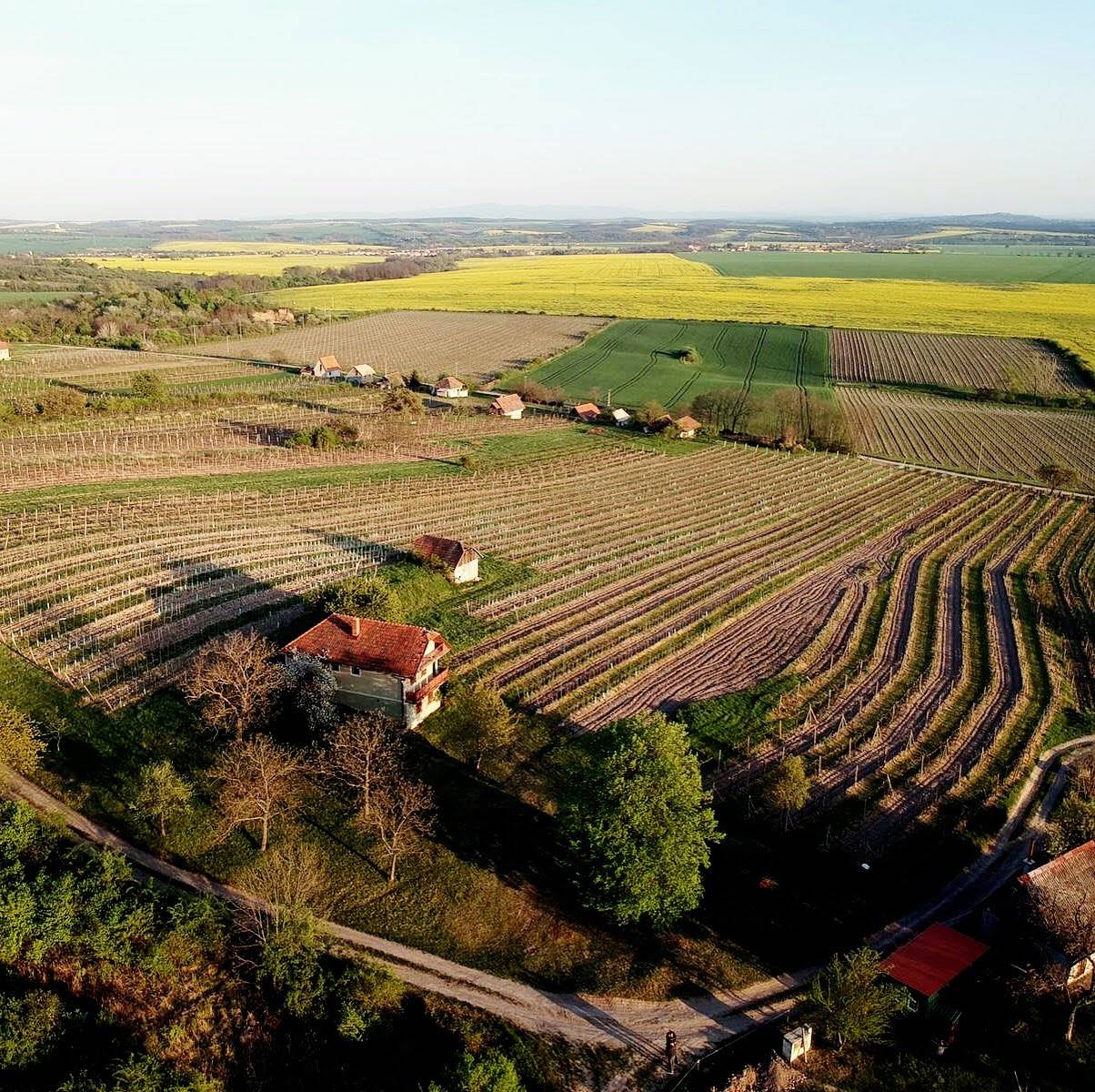 Vinárstvo Anton Uhnák