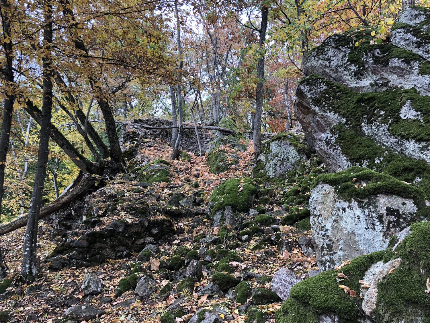 Hrad Rákoš