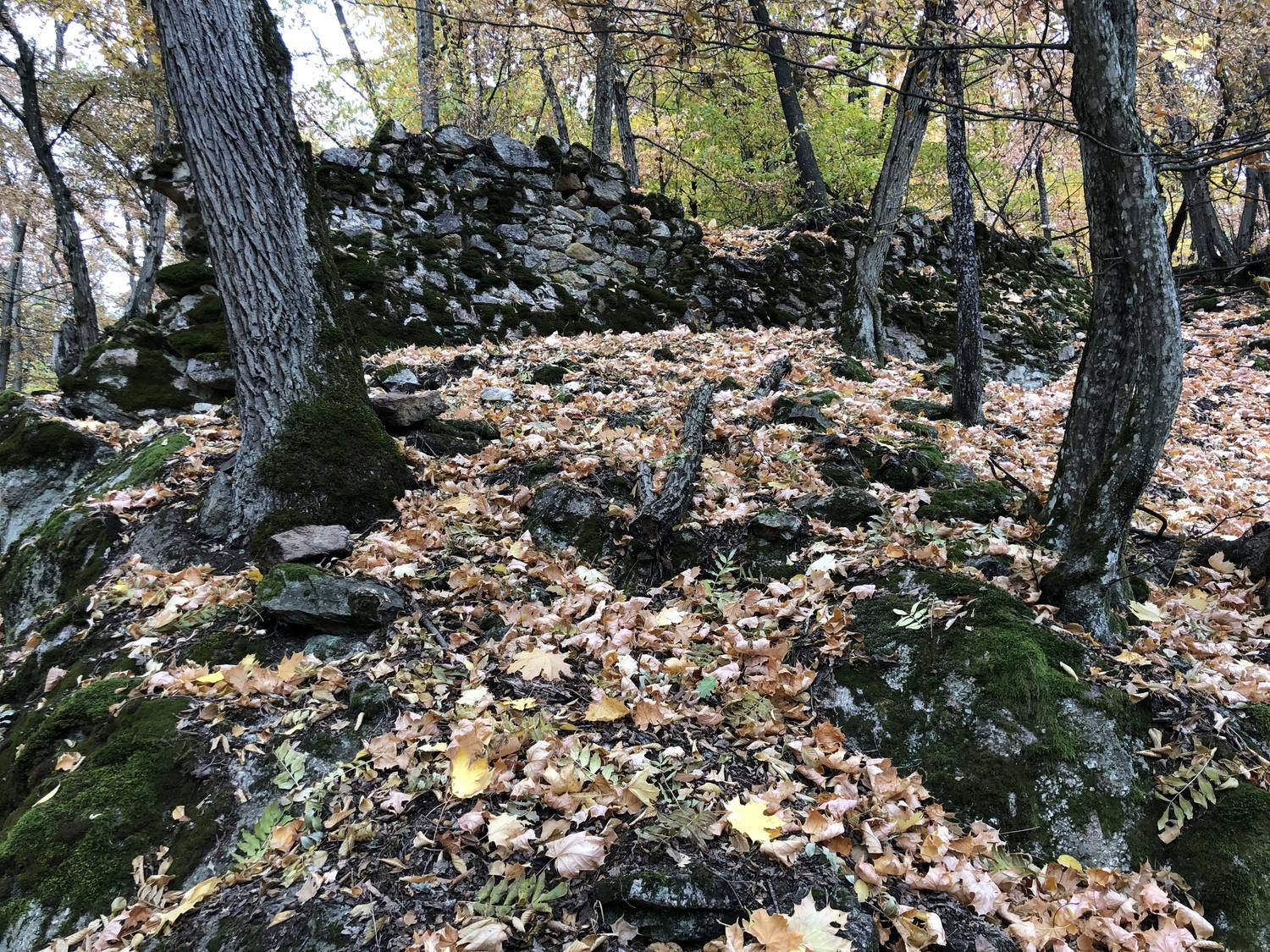 Hrad Rákoš