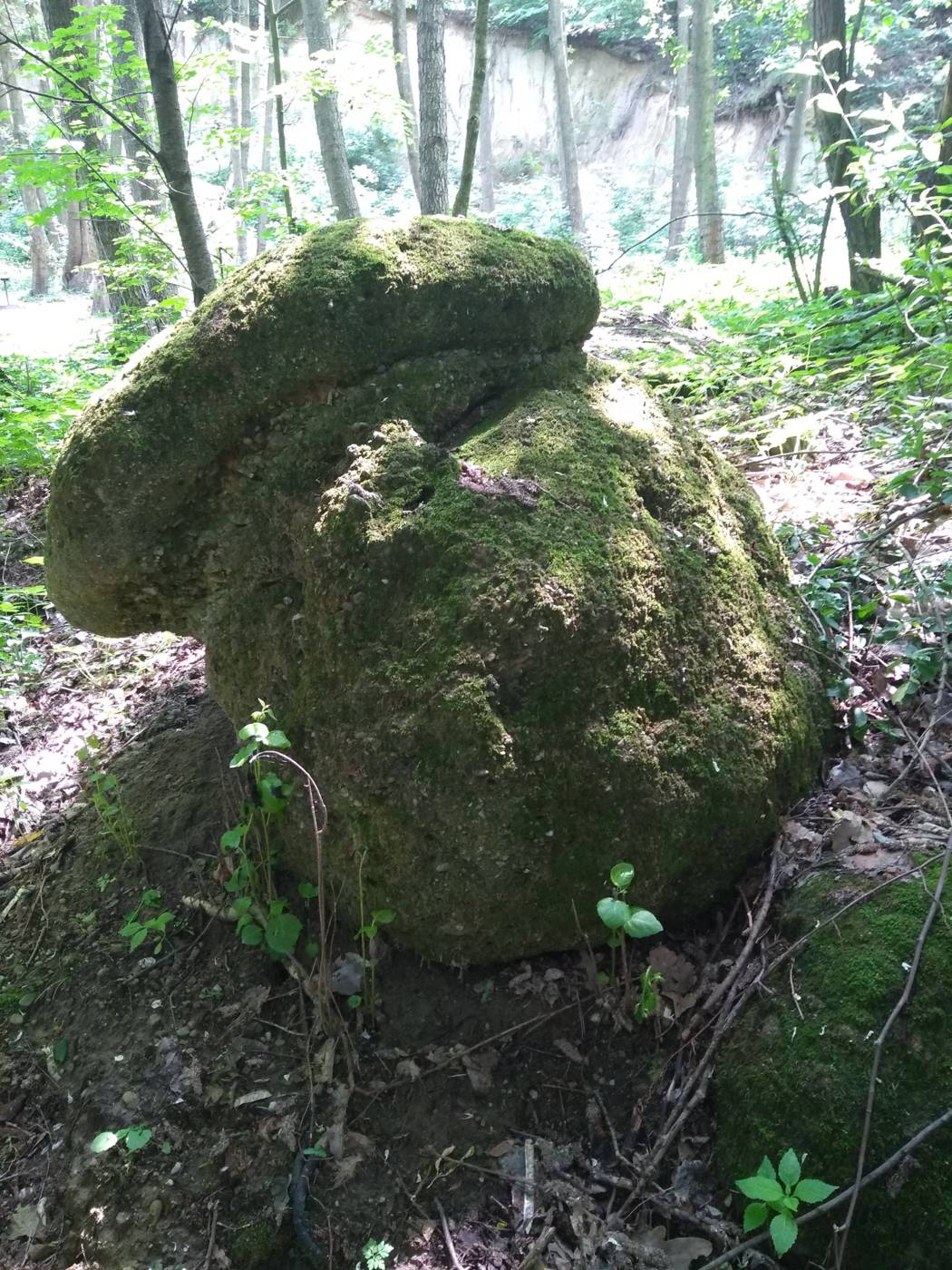 Brusnianske gule