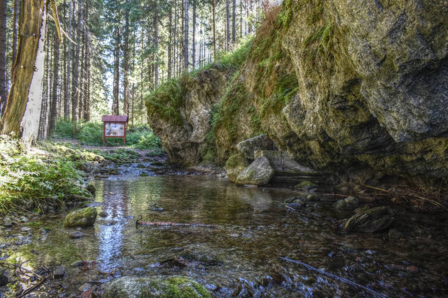 Brestovská vyvieračka