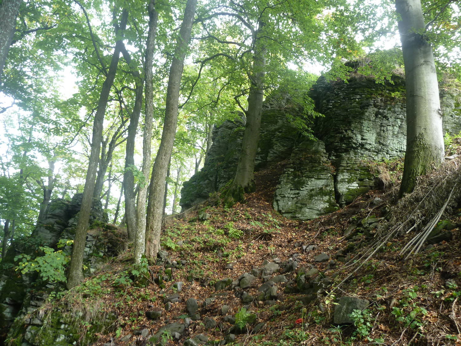 Hrad Sitno