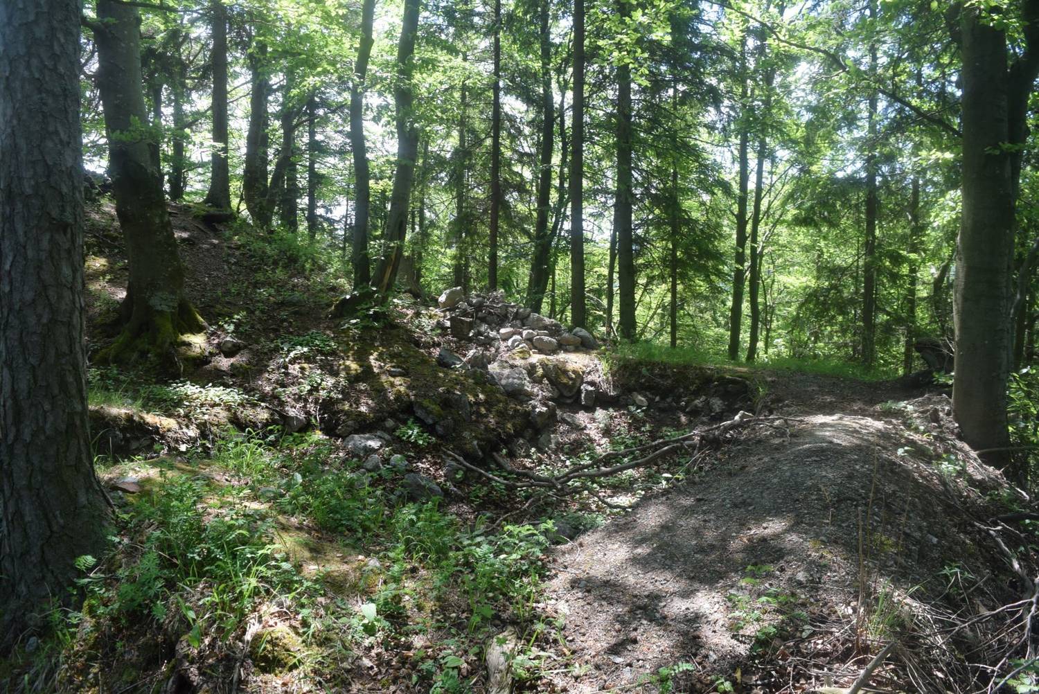 Sučiansky hrad