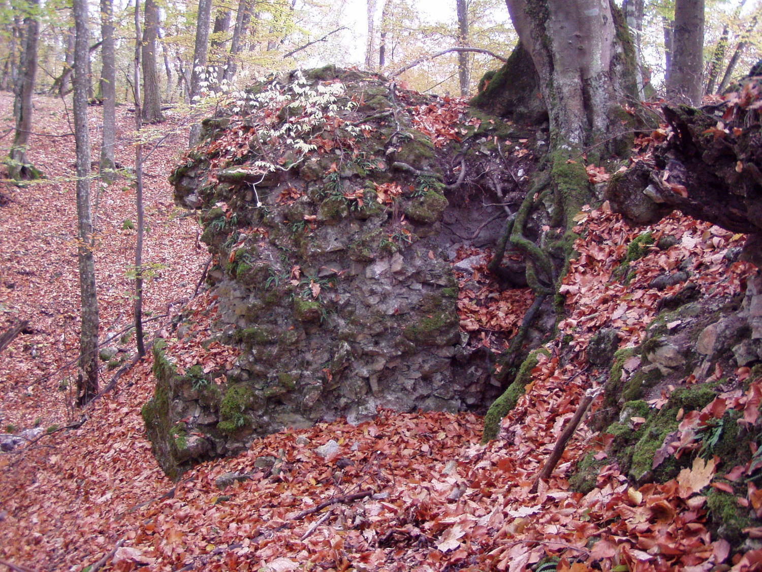 Hrad Drienok
