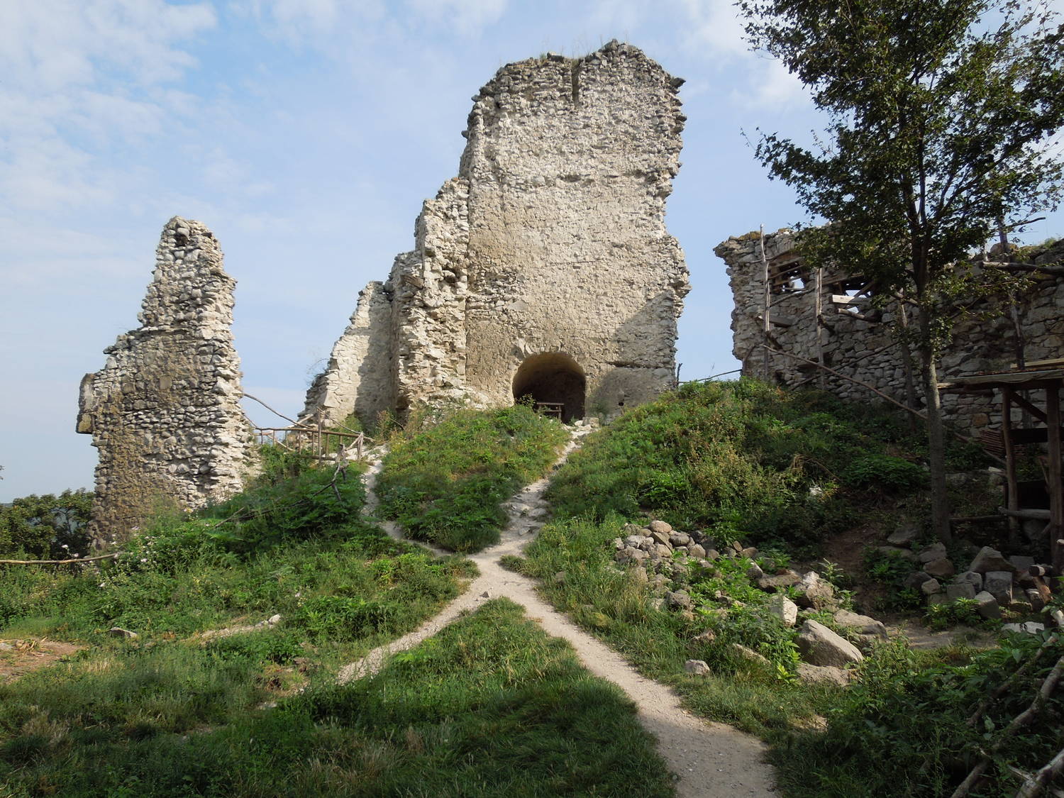 Viniansky hrad
