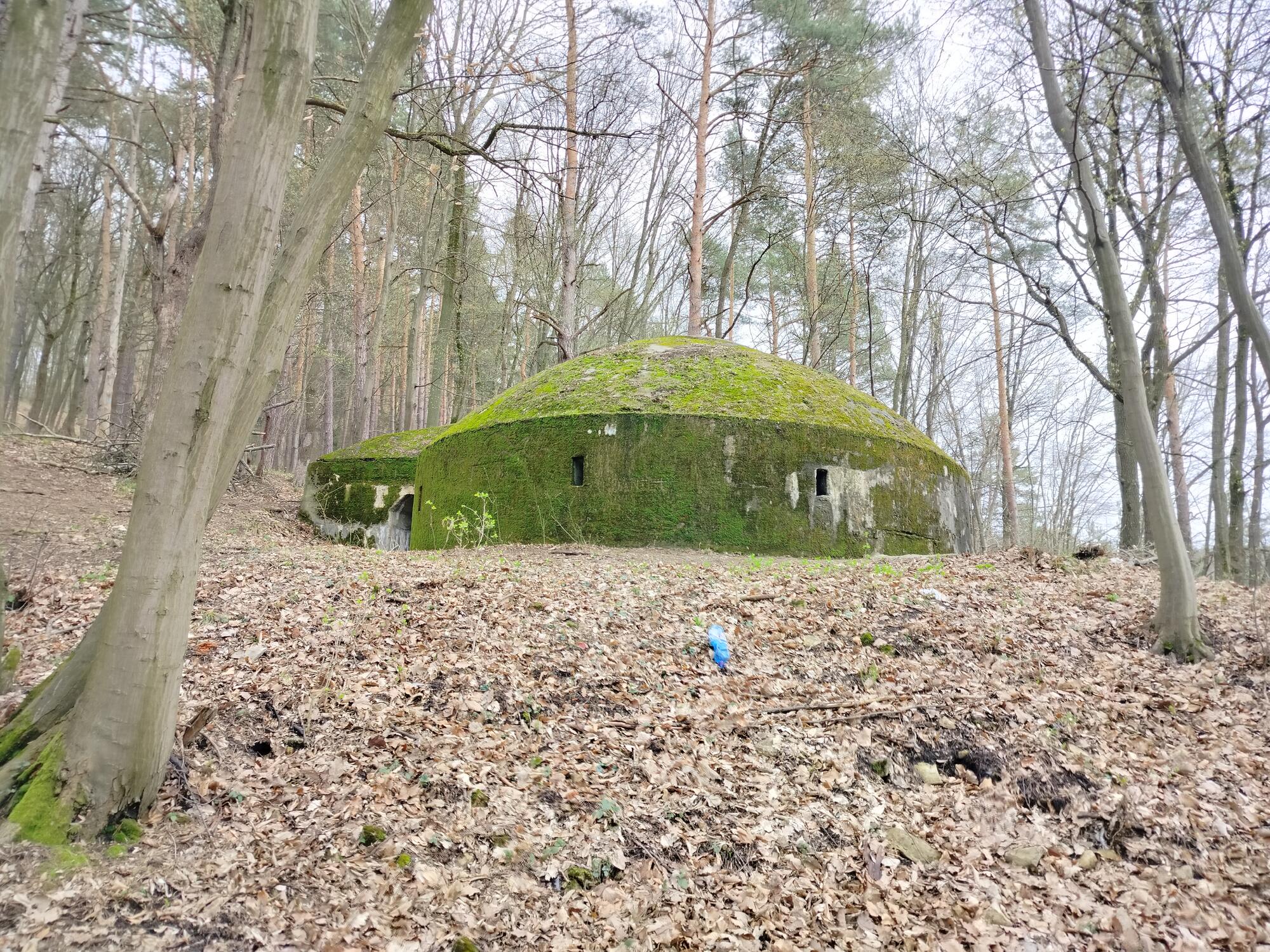 Vojenský bunker "Veľryba"