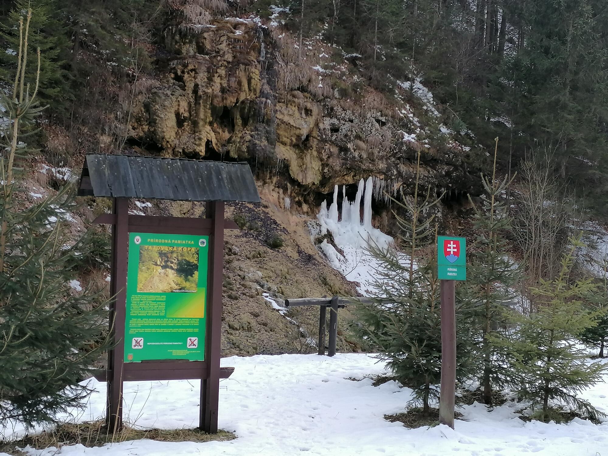 Tajovská kopa