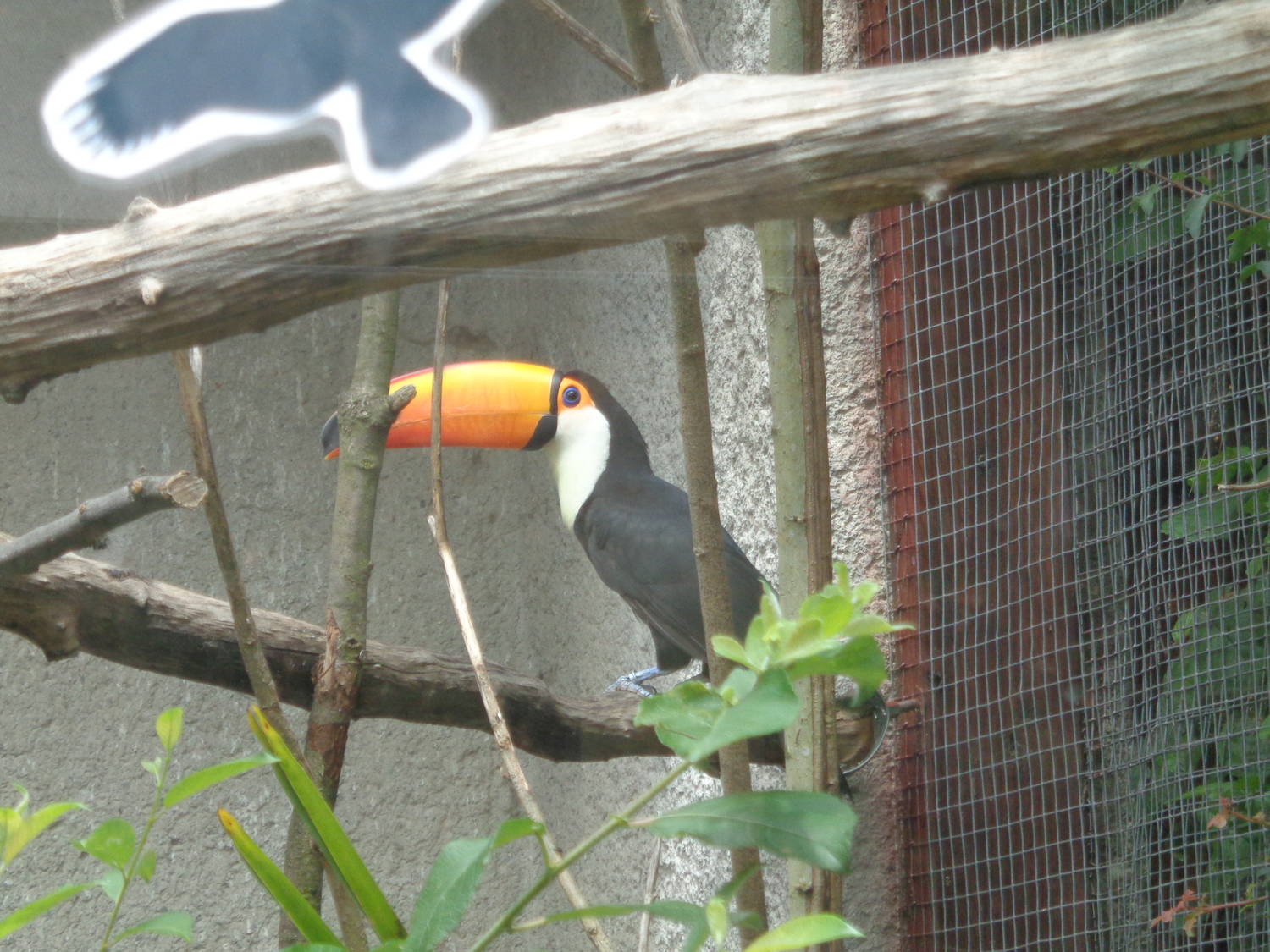 Zoo Košice
