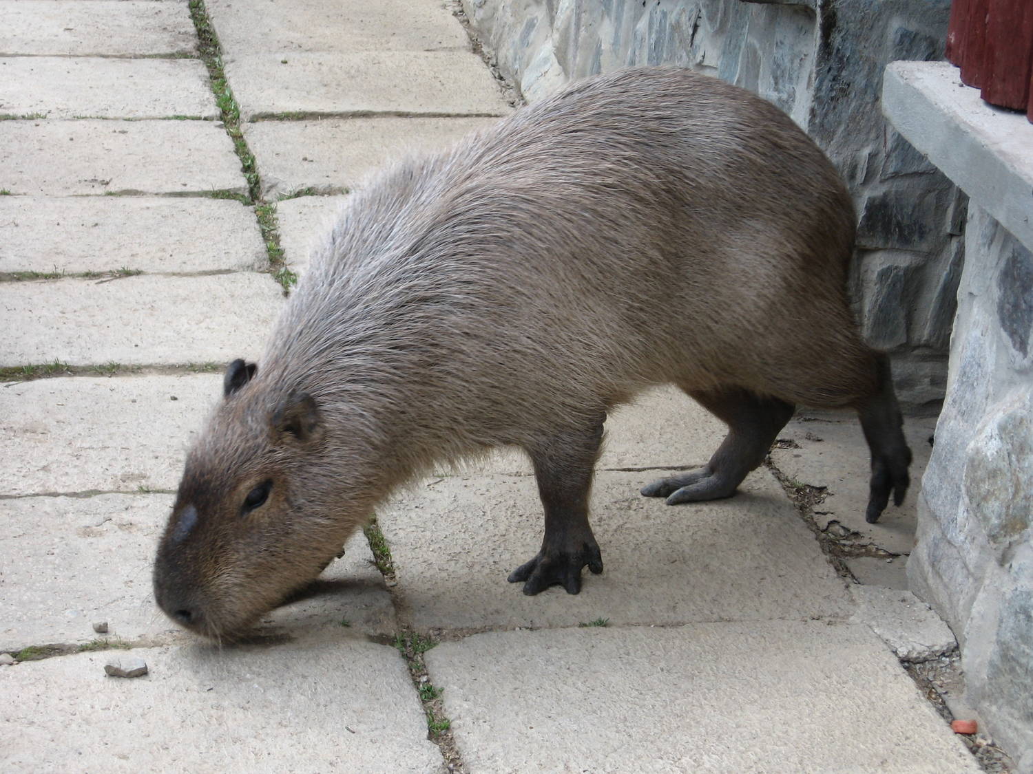 Zoo Košice