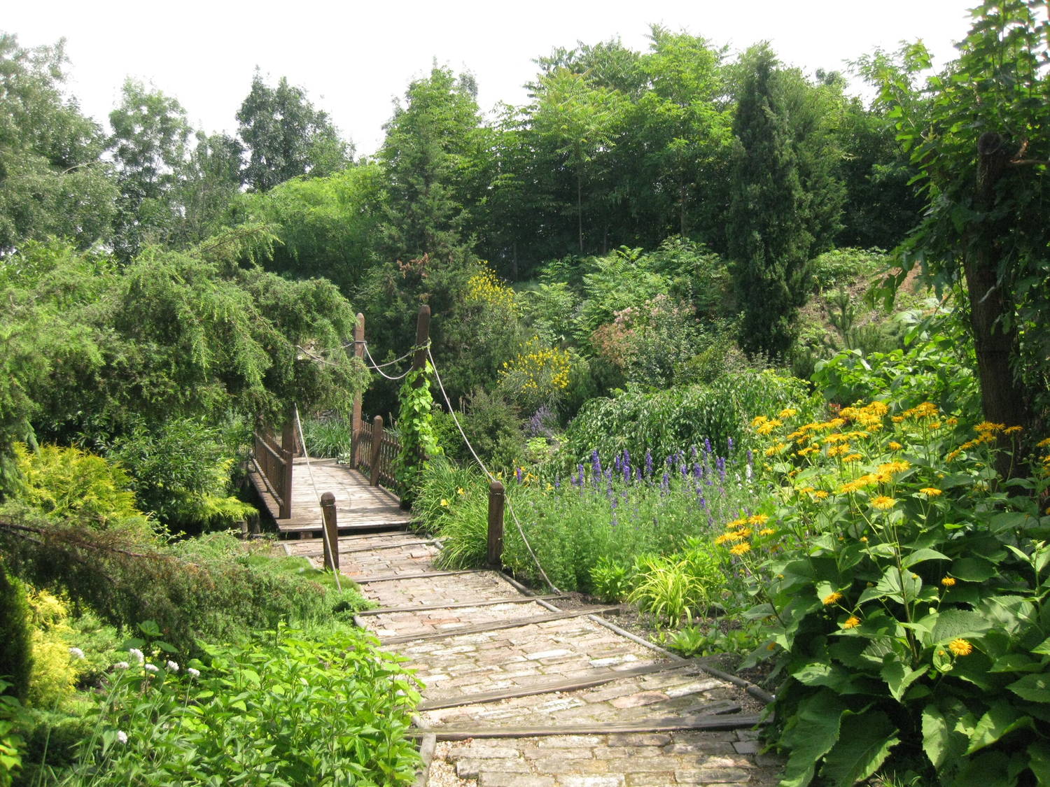 Botanická záhrada Univerzity Komenského