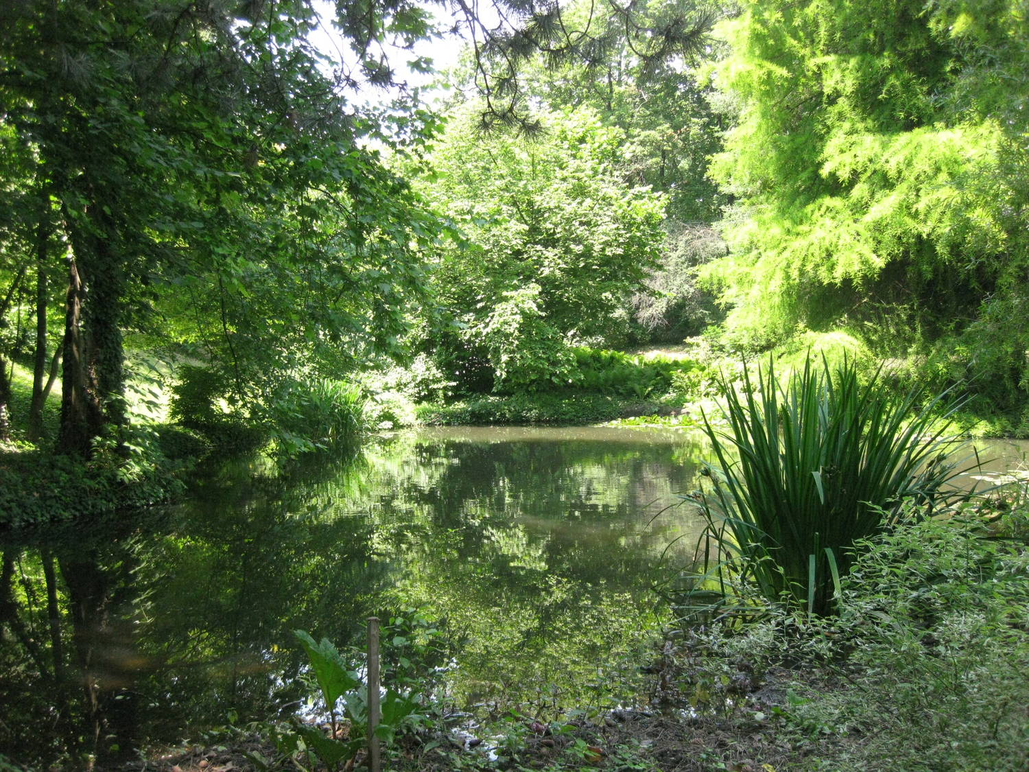 Botanická záhrada Univerzity Komenského