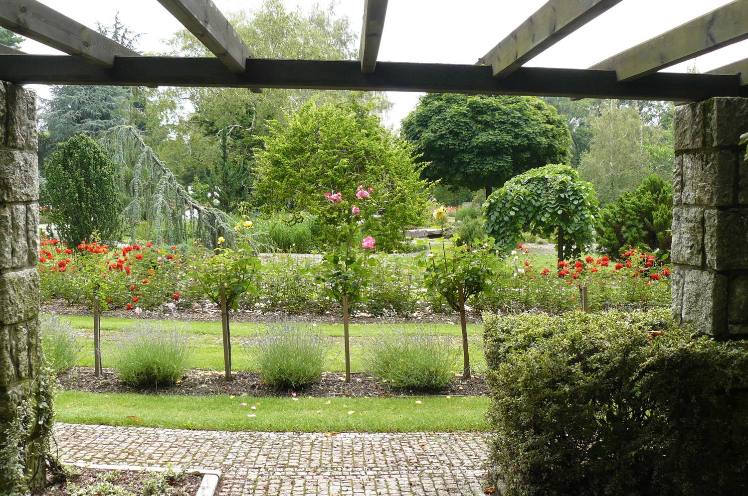 Botanická záhrada Univerzity Komenského