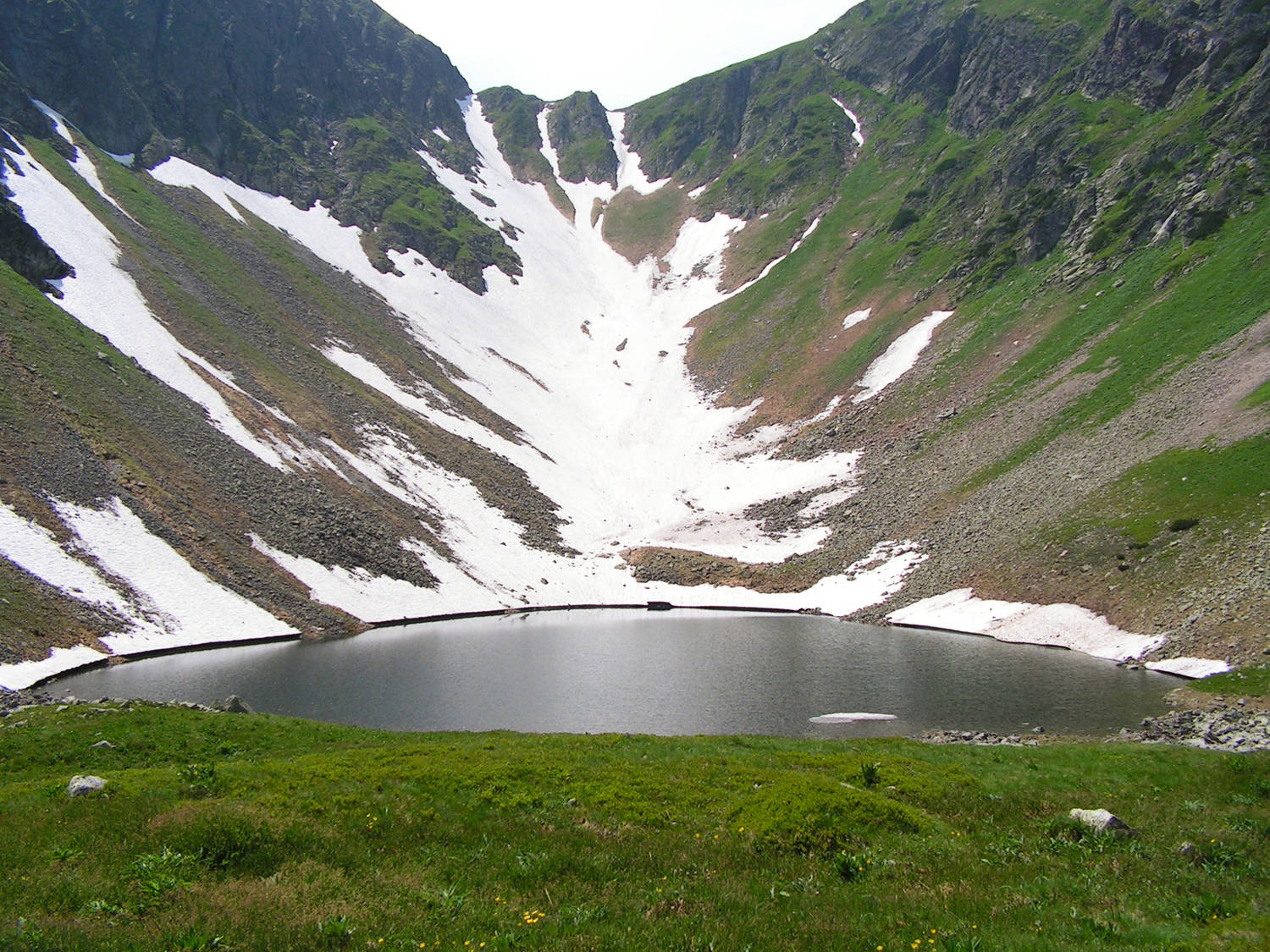 Zelené Javorové pleso
