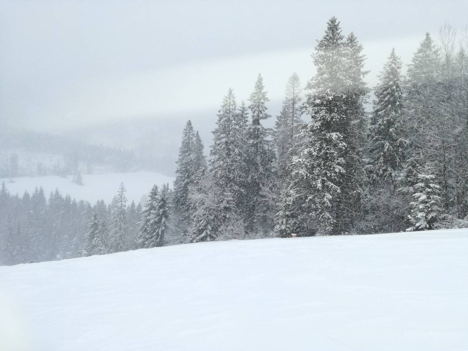 Ski Monkova dolina