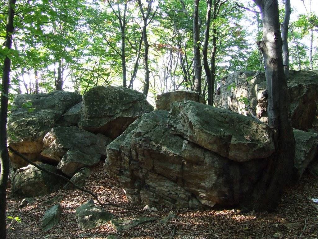 Tisové skaly